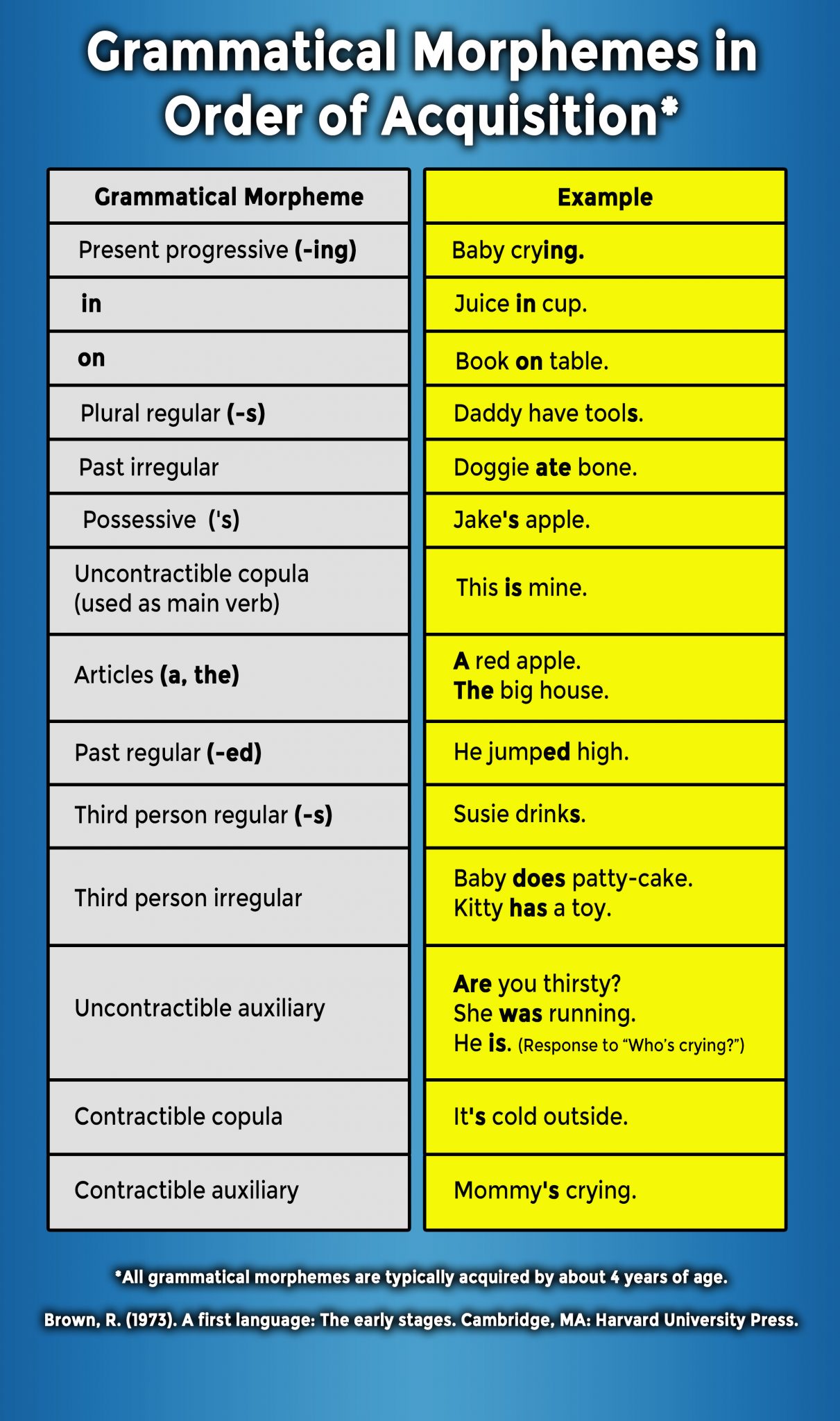 Best 1:1 Expressive Language Disorder Therapy in NYC Metro