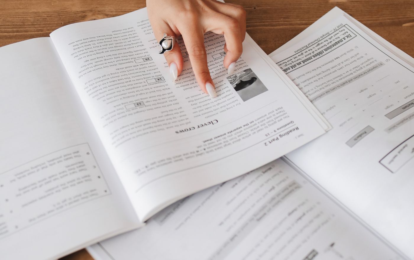 NYC Vocabulary Tutor 2