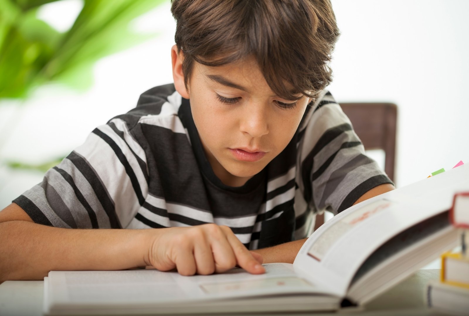 Understanding Dyslexia, Brooklyn Letters