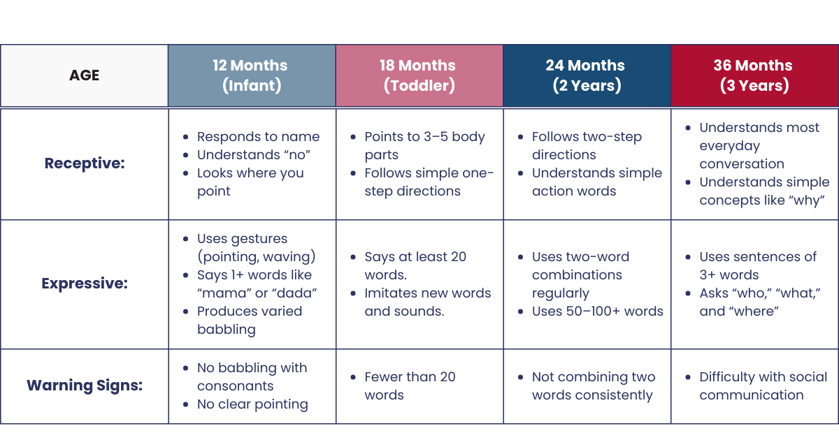 Age by Age Checklist Speech and Language Milestones for Toddlers NYC Parents Should Know