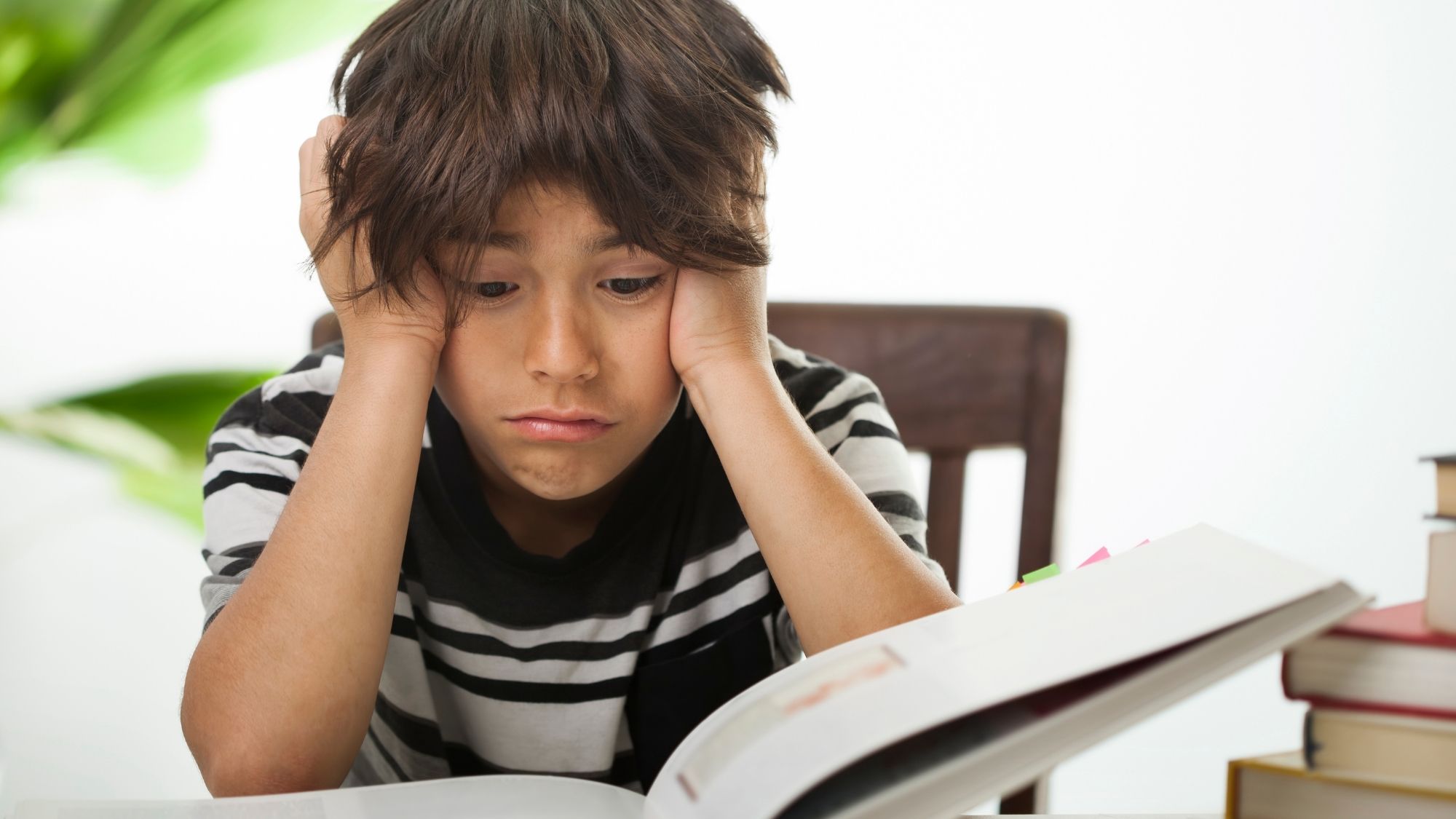 oral narrative skills guide